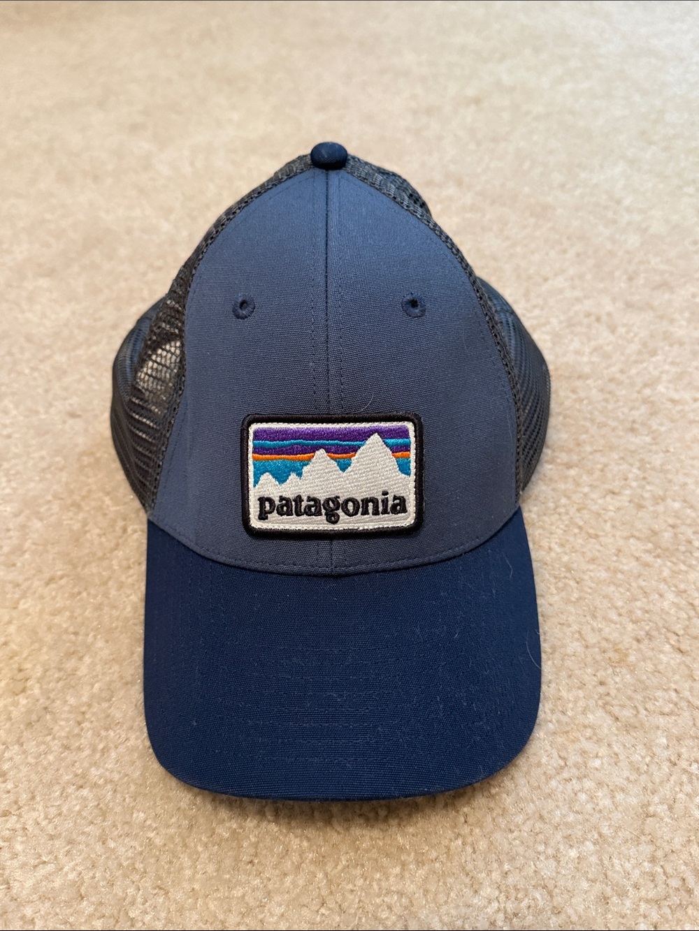 Patagonia Blue and Navy Mesh Logo Patch Cap